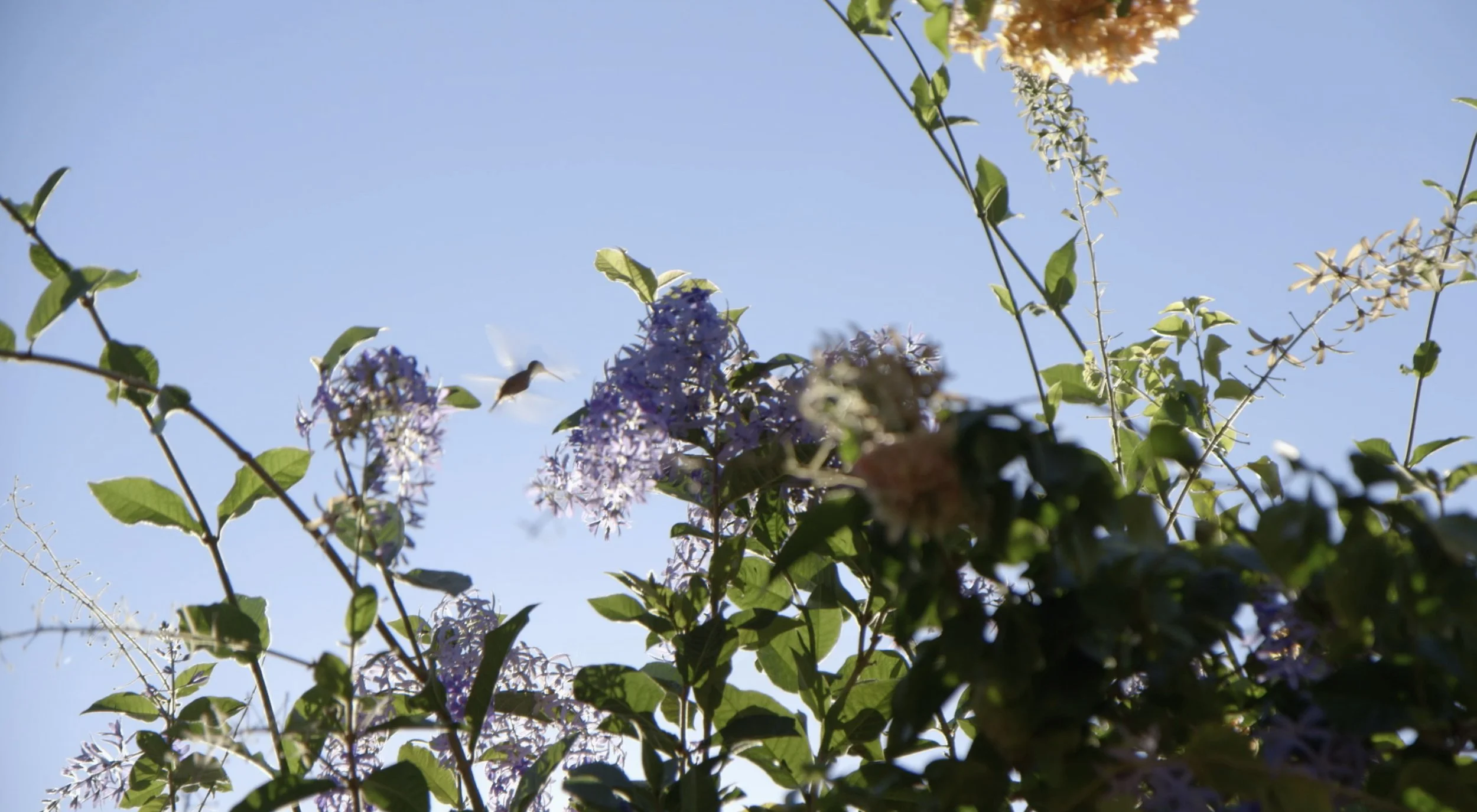 Bildschirmfoto 2025-12-18 um 9.39.31 PM.jpg