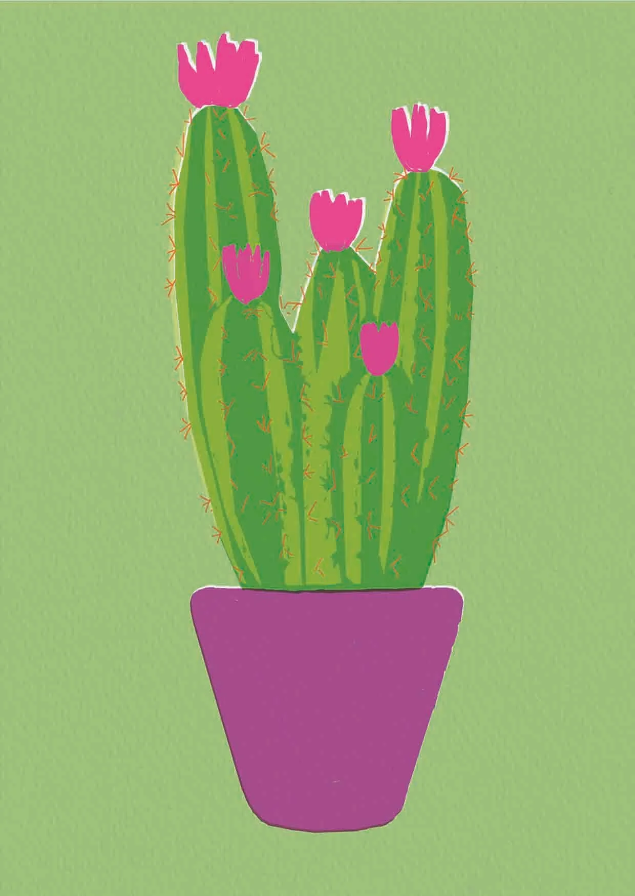 cactus.jpg