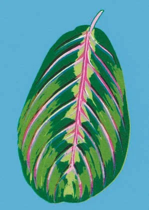 Leaf