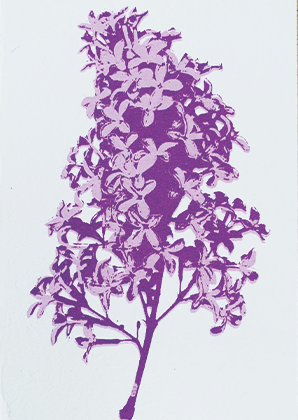 Lilac2.png