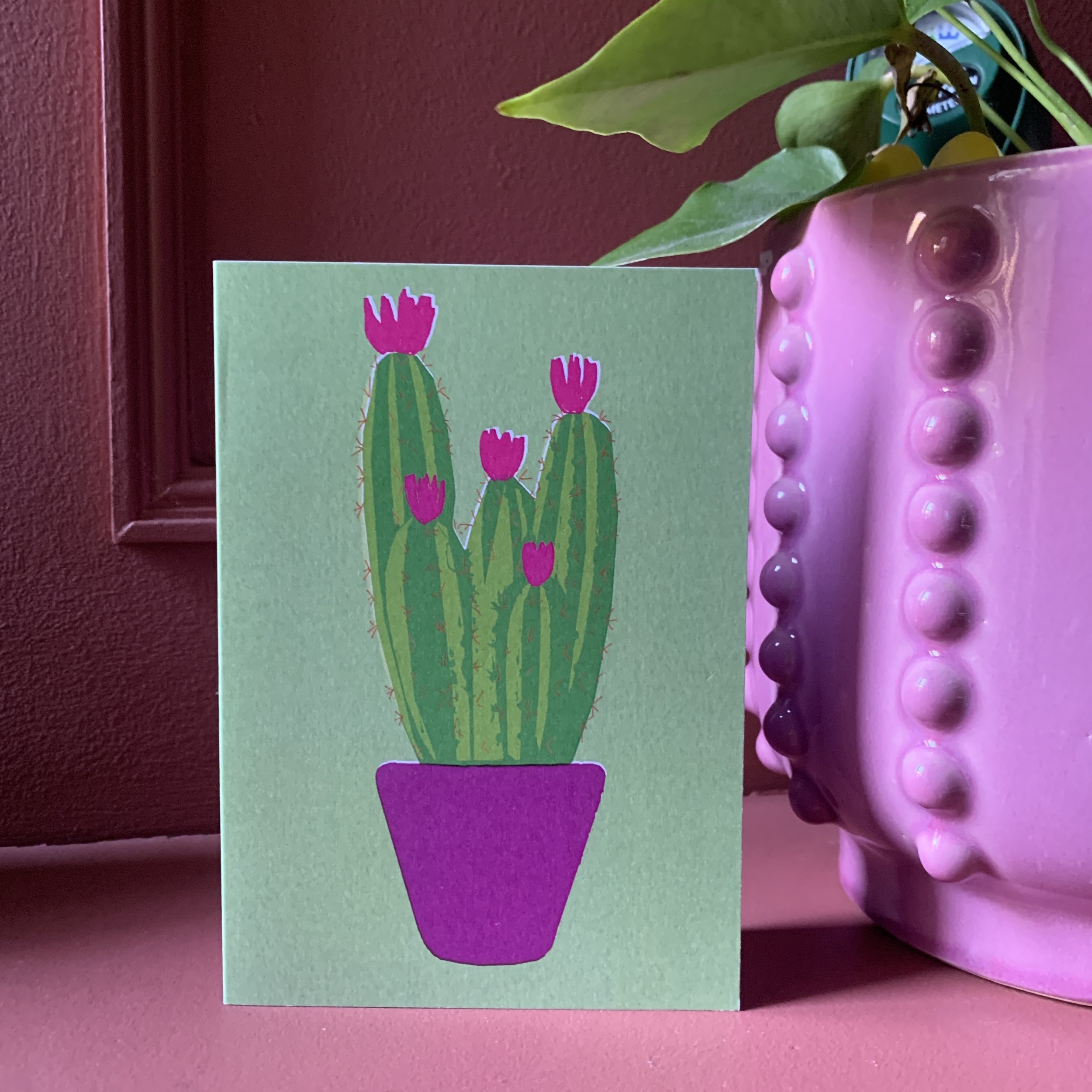 Cactus