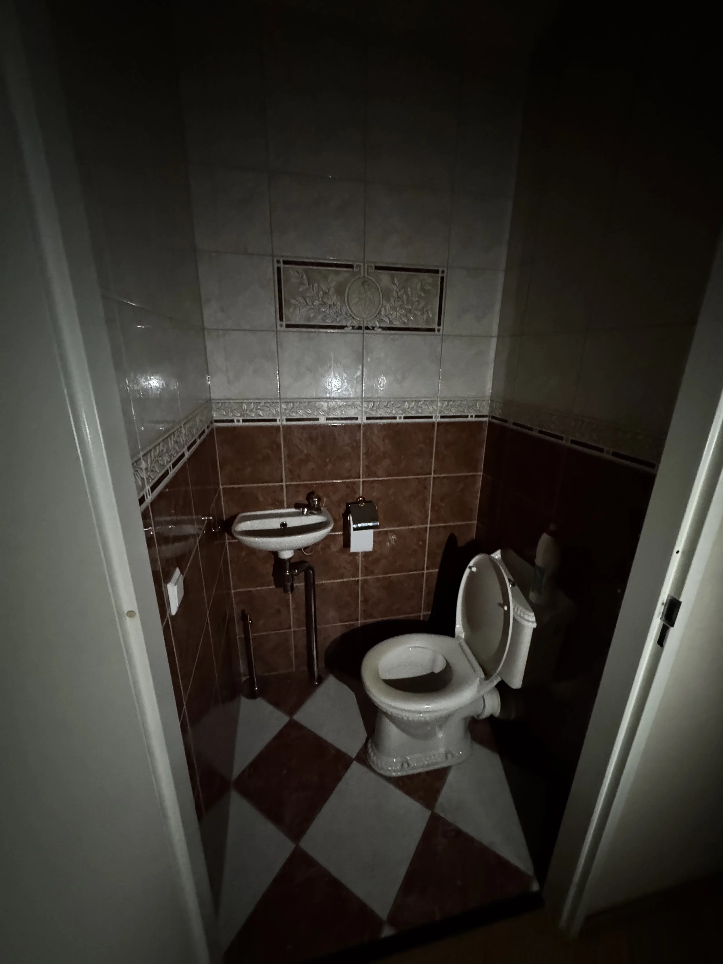 Bij aankoop van de woning was de wc/toilet sterk verouderd.