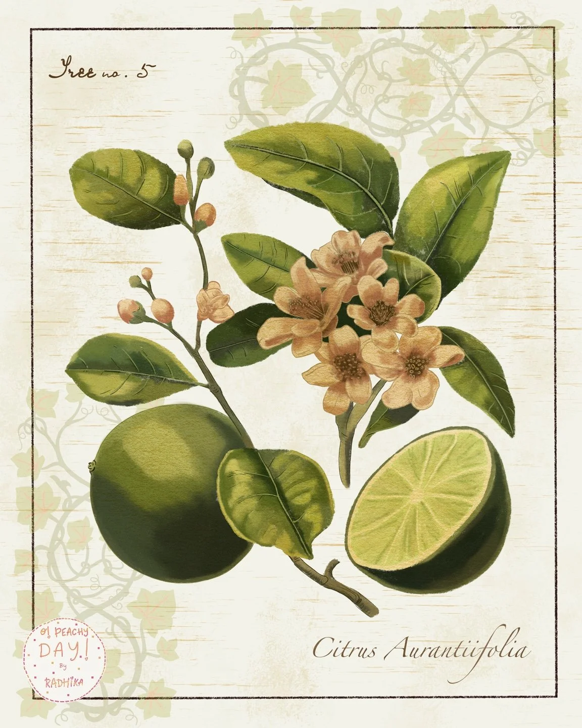 Lime.jpg