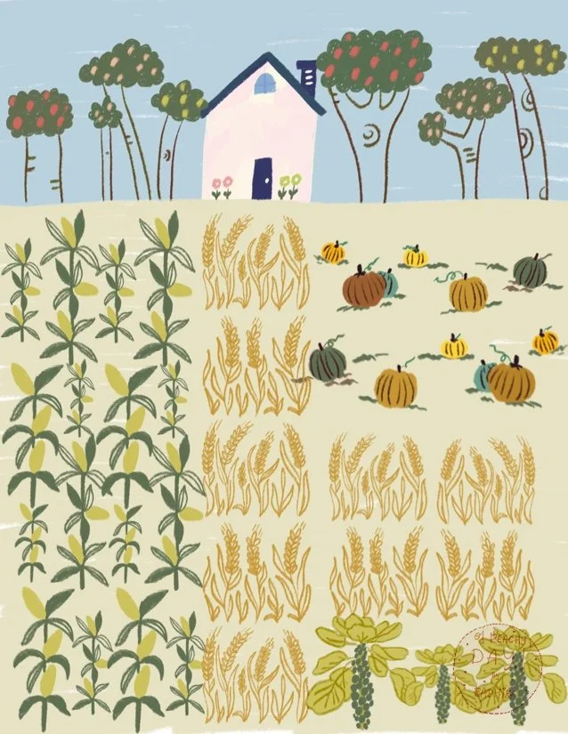 Field harvest.jpg