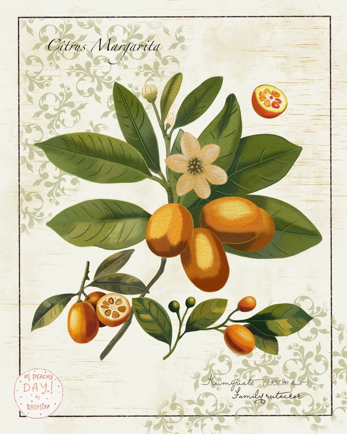 Kumquat .jpg