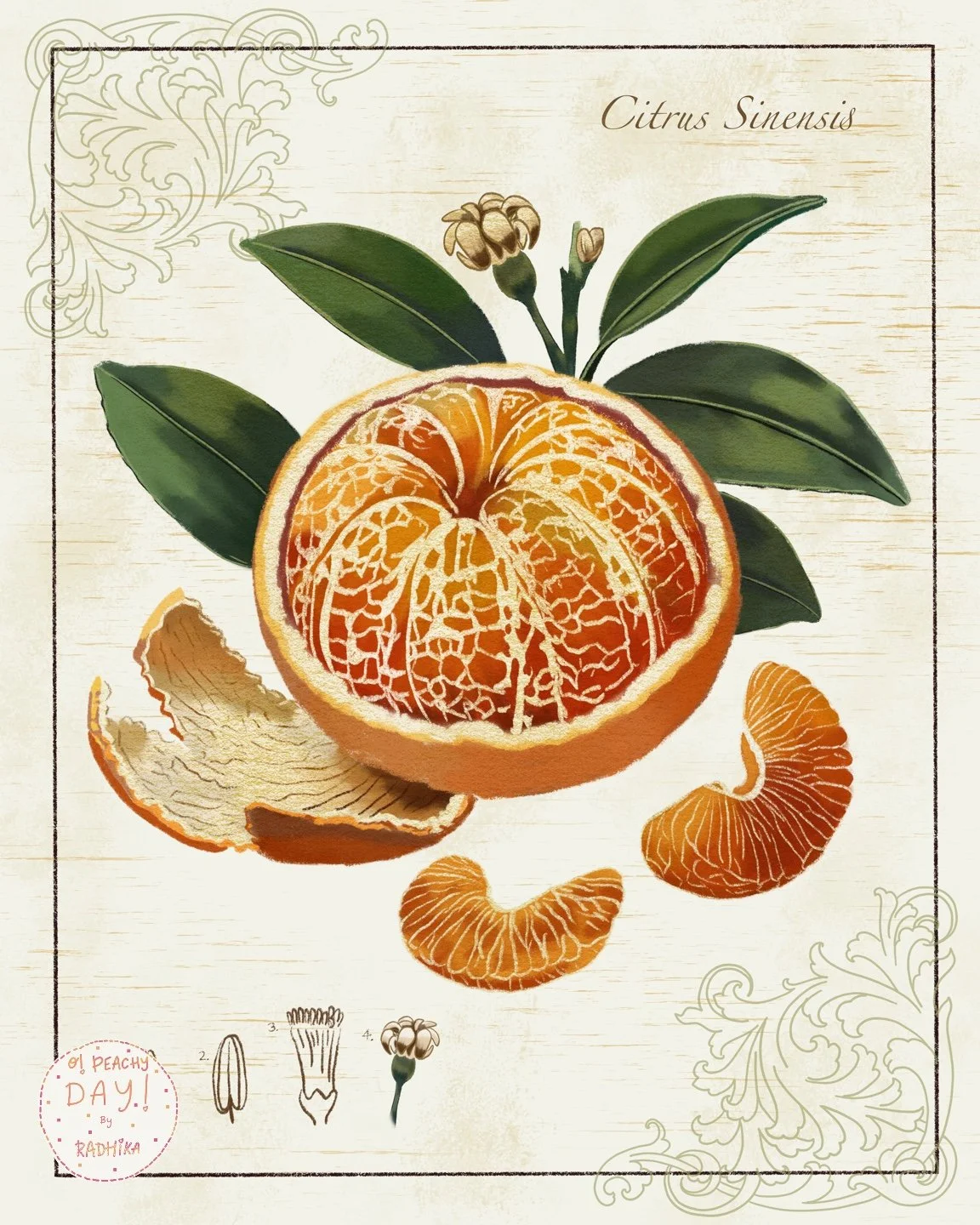 Orange.jpg