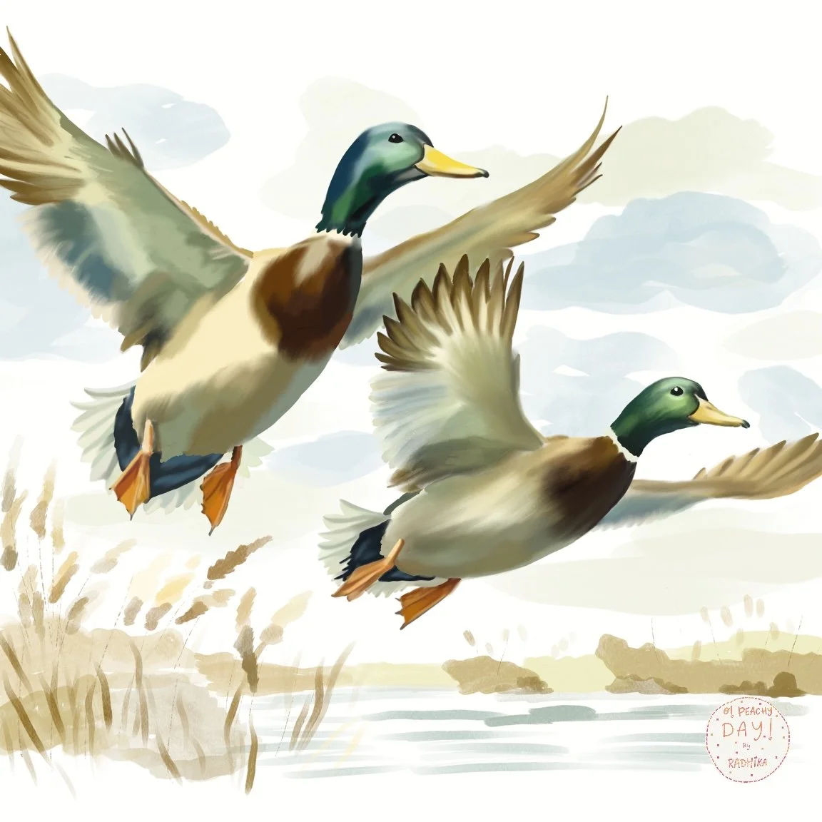 Mallards.jpg