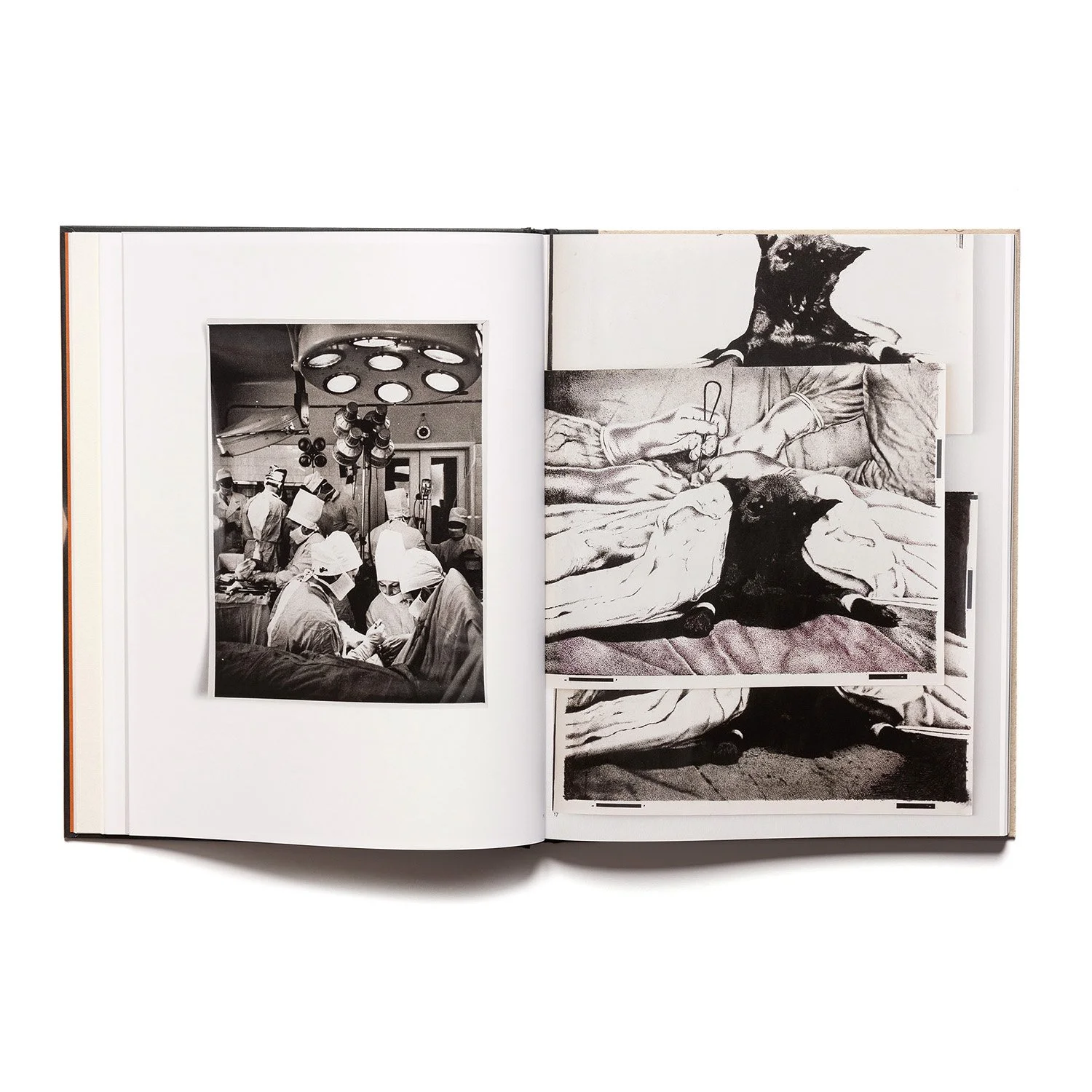 Gleizda metode spread 05.jpg