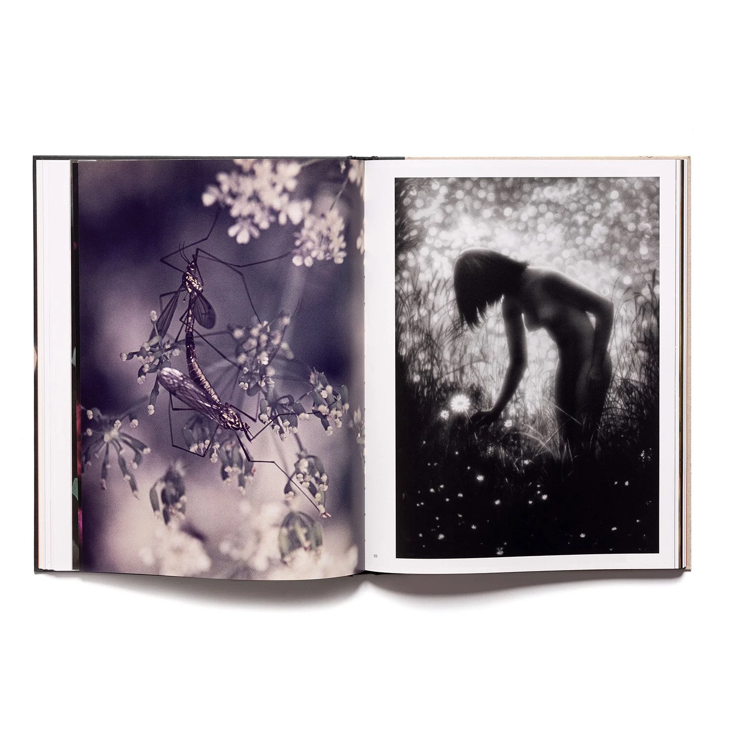 Gleizda metode spread 03.jpg