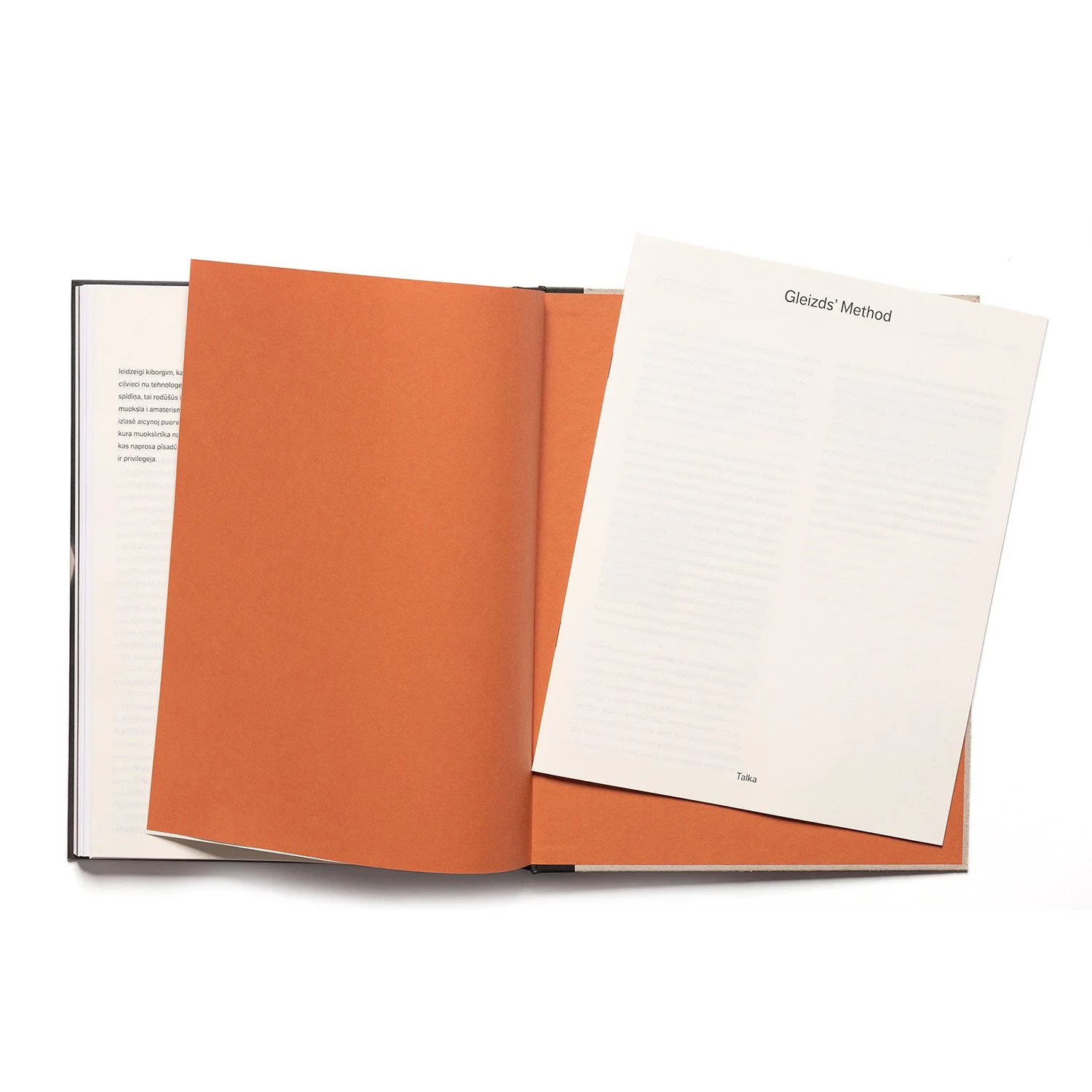 Gleizda metode spread 010 copy.jpg