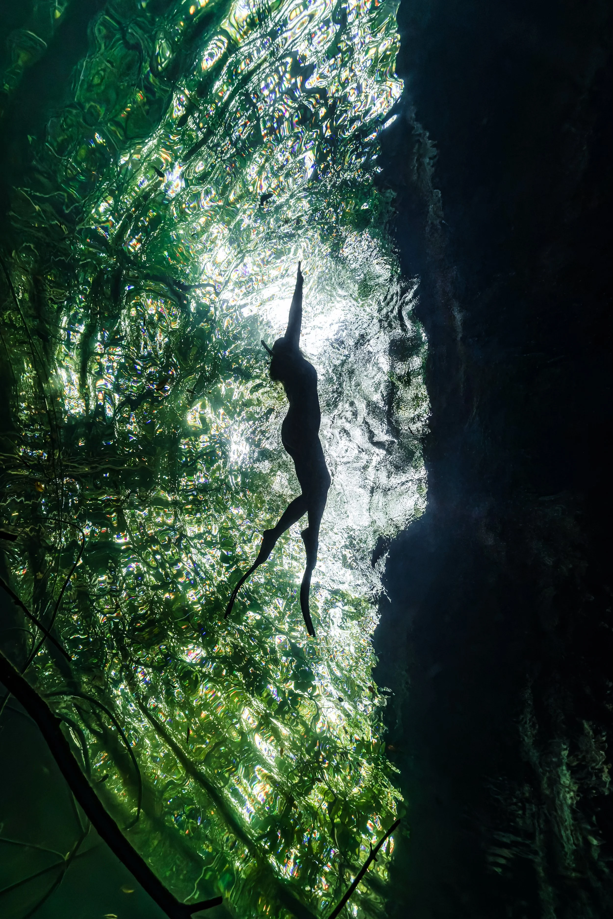 Cenote.jpg