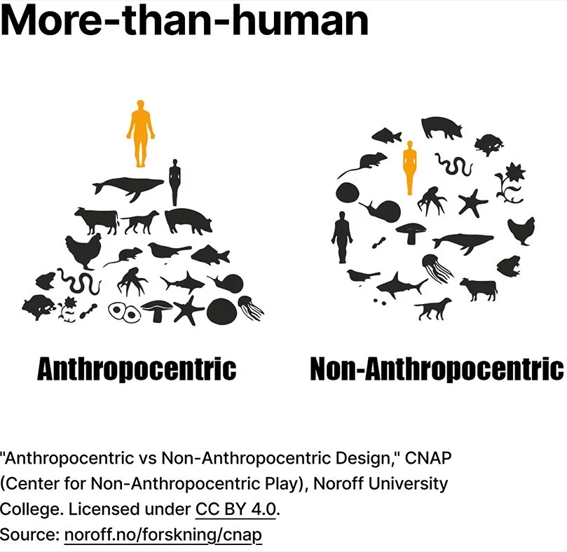 Comparison of anthropocentric and non-anthropocentric designs showing different arrangements of humans and animals, with the anthropocentric side highlighting humans at the top and the non-anthropocentric side displaying animals more evenly surrounding humans.