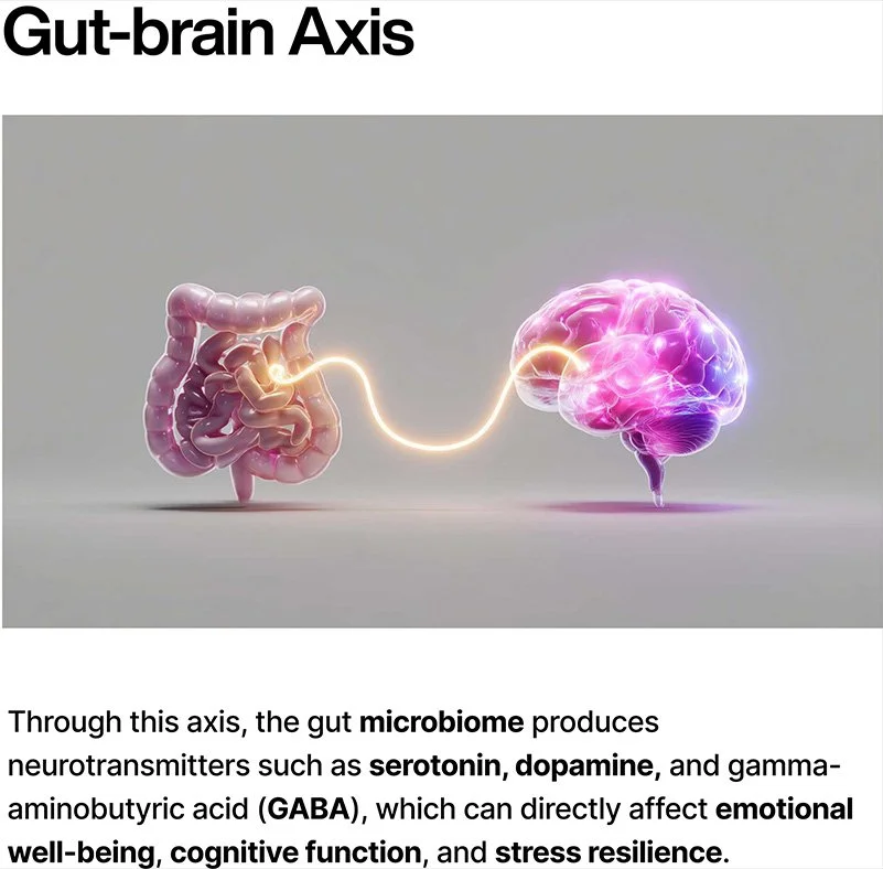 Illustration of the gut-brain axis showing a connection between the intestines and the brain with a glowing neural link.