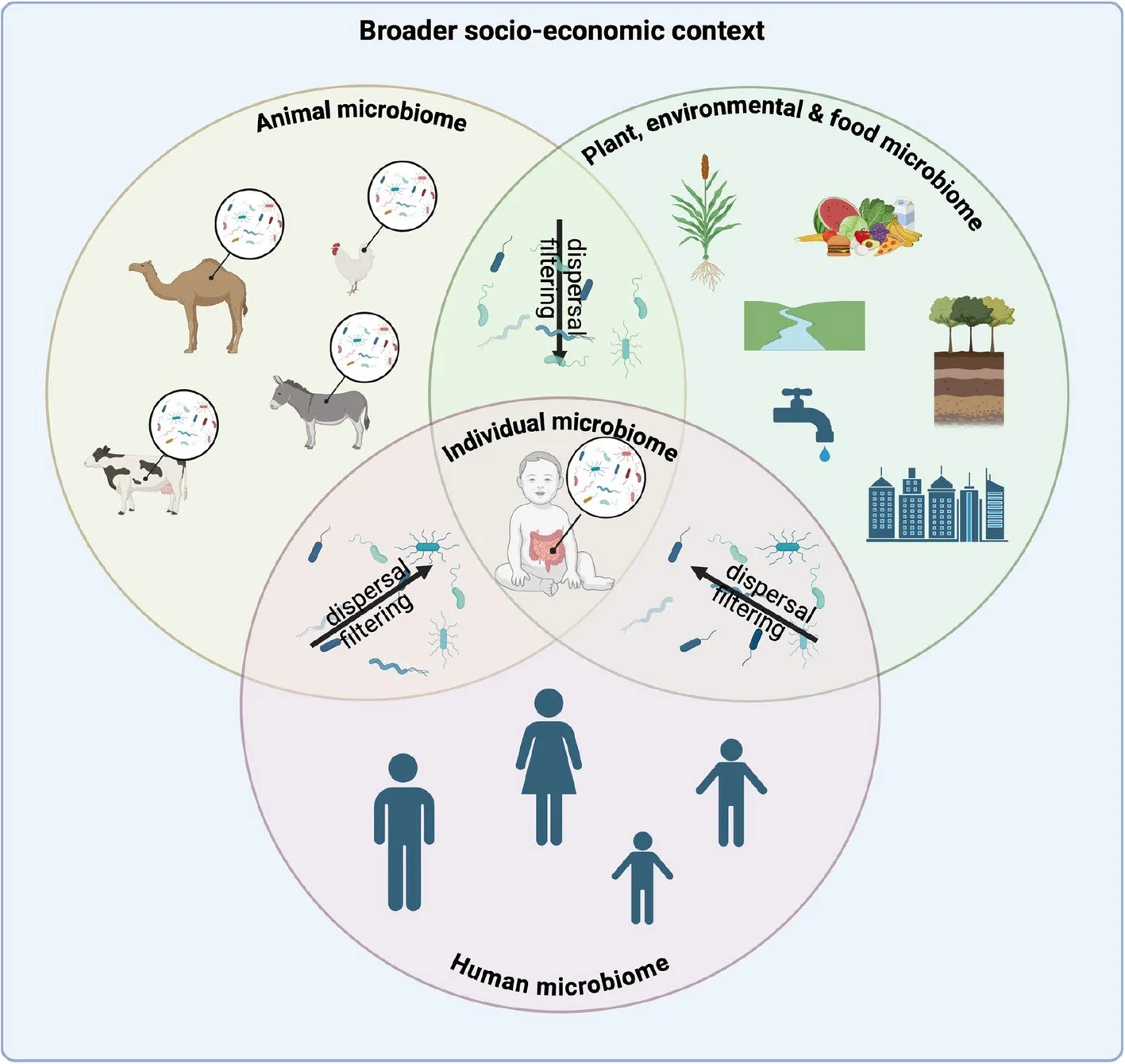 One Health diagramme