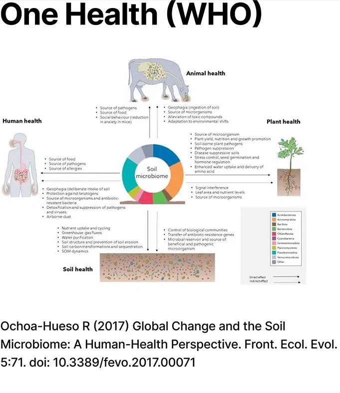 Diagram illustrating the idea of One Health (WHO) interconnectedness of human health, animal health, plant health, and soil health centered around the soil microbiome, with descriptions of factors affecting each and their roles in health and disease.