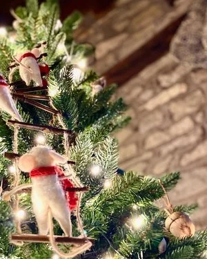 xmas2.jpeg