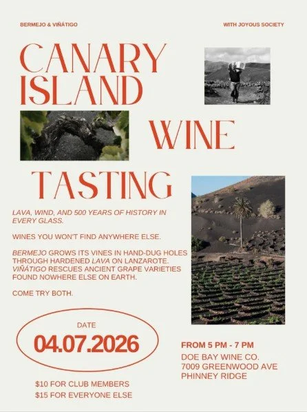Canary Island Wine Tasting - Phinney Ridge