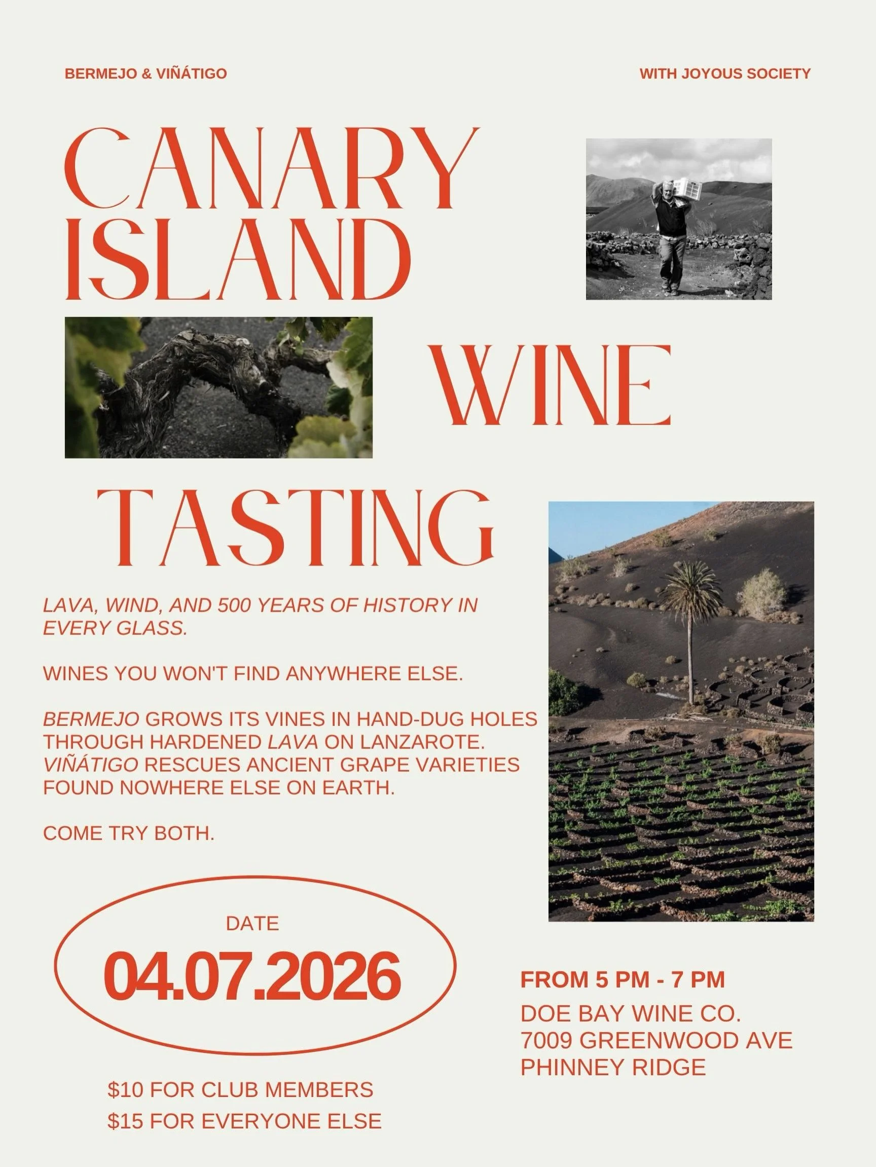 Canary Island Wine Tasting - Phinney Ridge