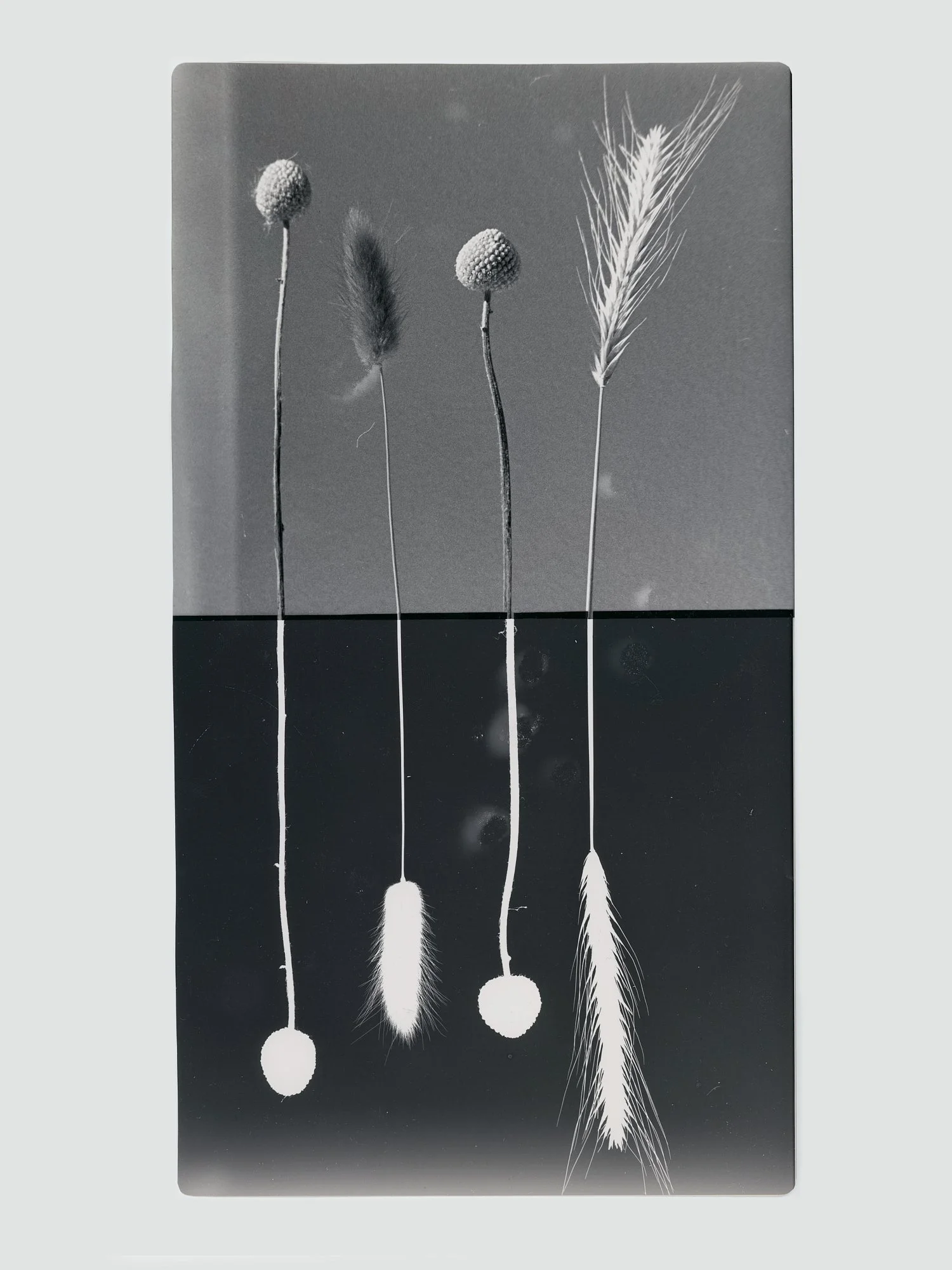 Untitled_Panorama-1_preview 1.jpg