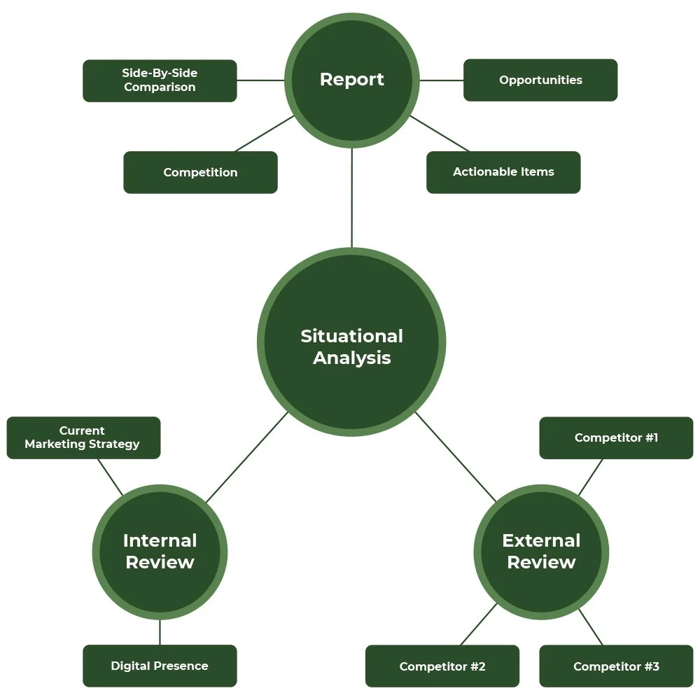 Situational analysis and competitive landscape