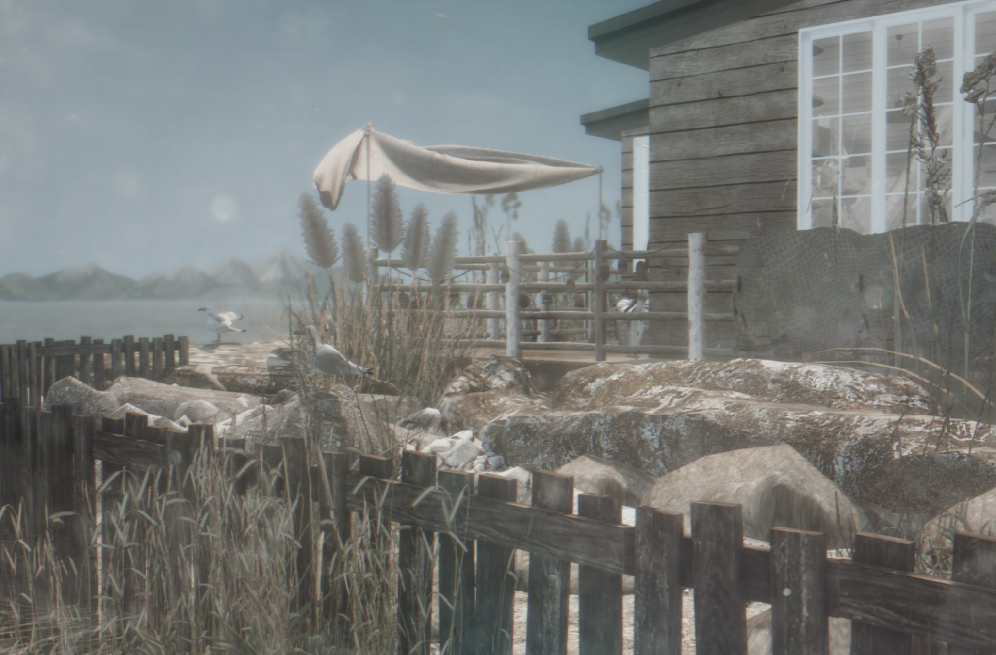 cold beach (6).png