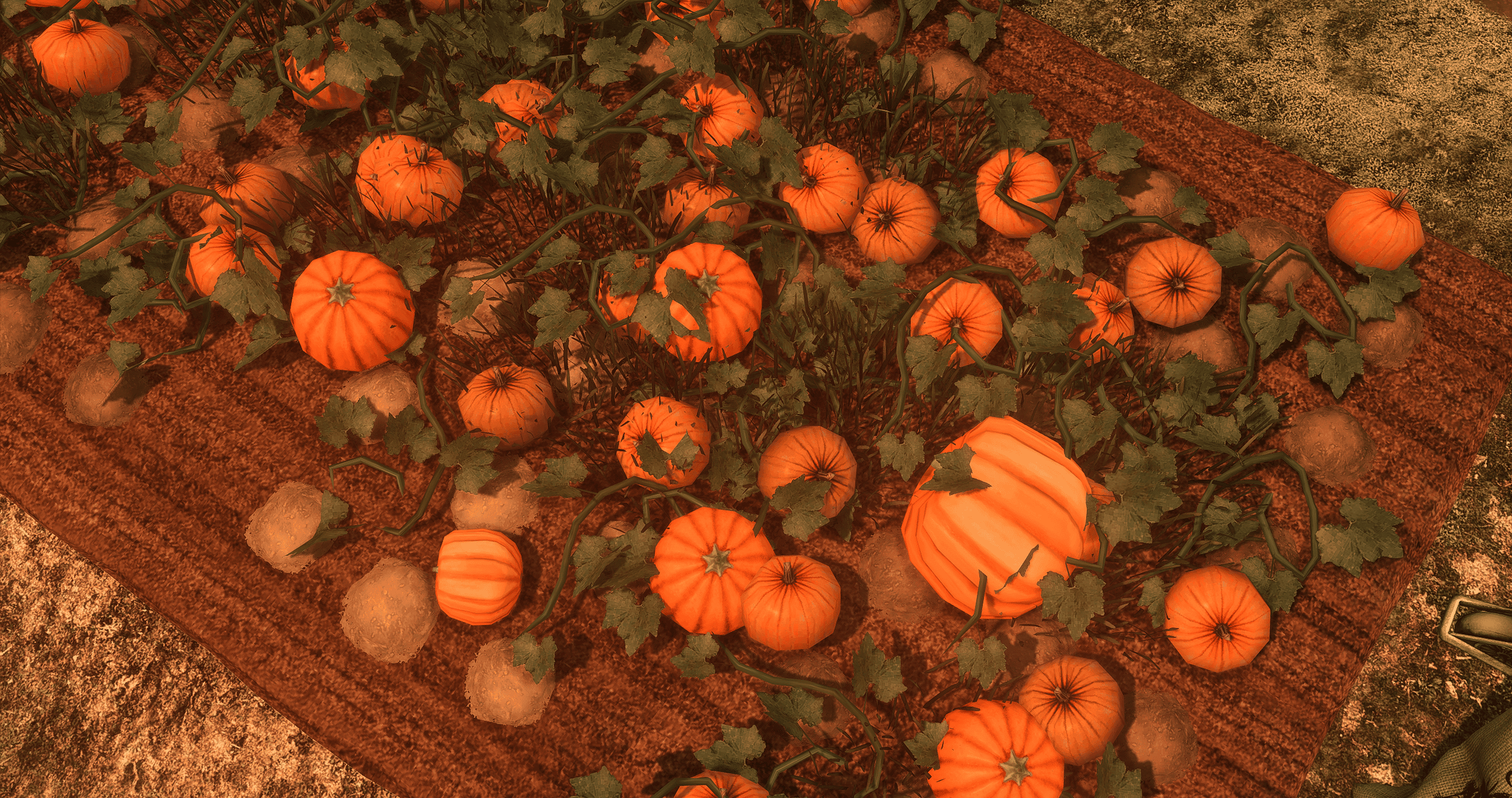 autumn farm (13).png