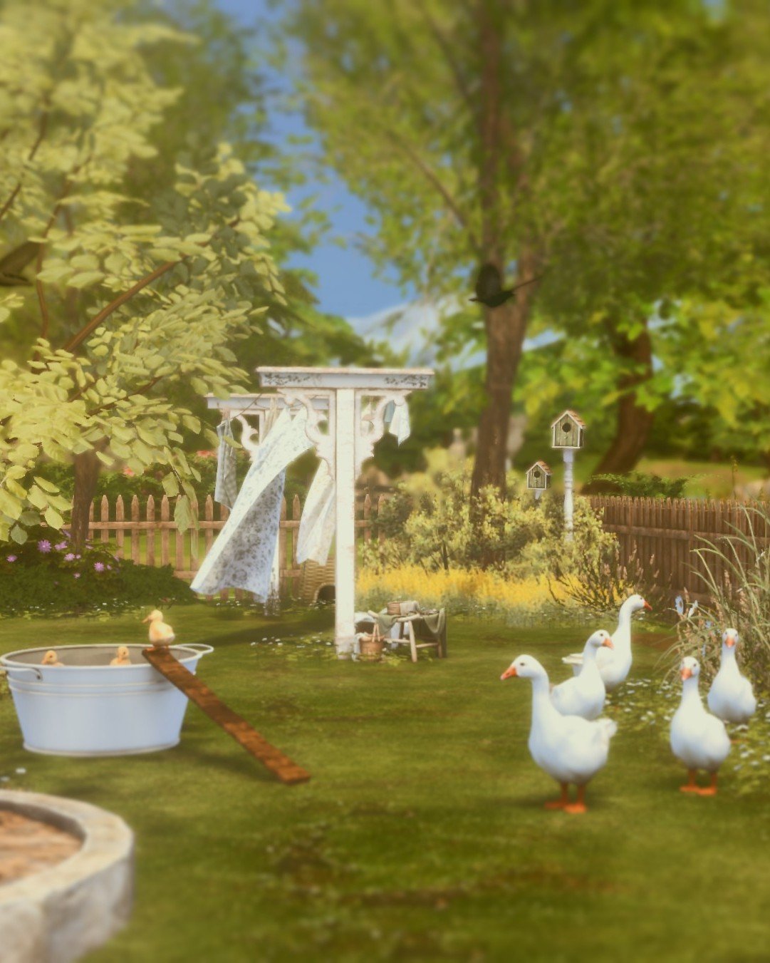Wildflowers, waddling geese, and the soft hum of summer 🌼🪿
This garden feels like something out of a Swedish dream.

#Sims4Garden #CottagecoreSims #Sims4Builds  #TS4 #Sims4Screenshots #CozySims4 #Sims4Cottagecore #simmer #sims4housebuild #Sims4Buil