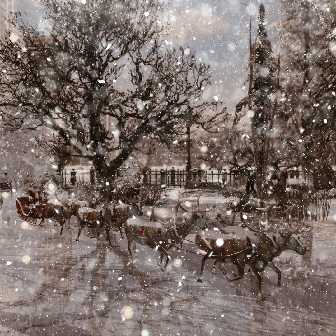 christmas market (4).png