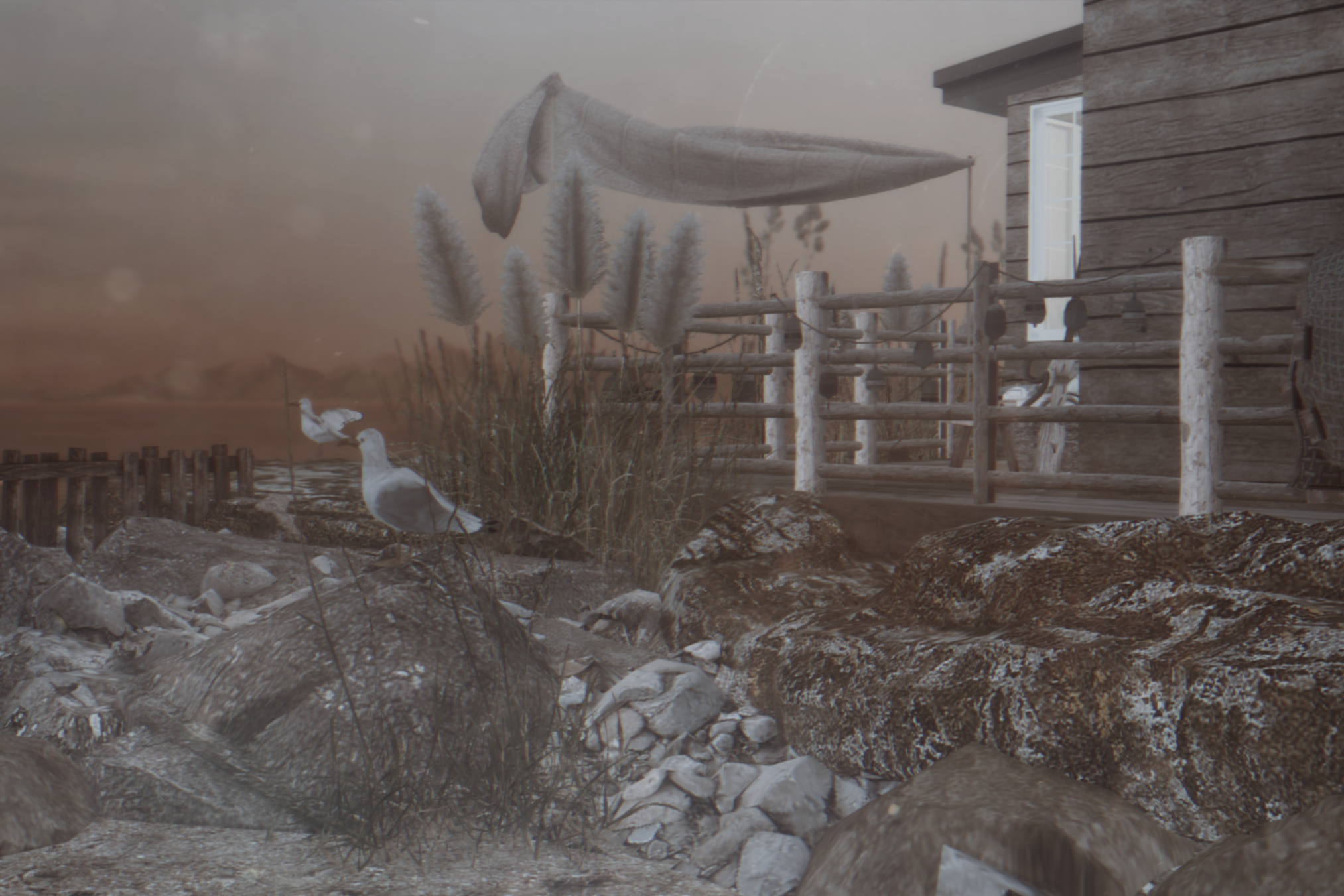 cold beach (7).png