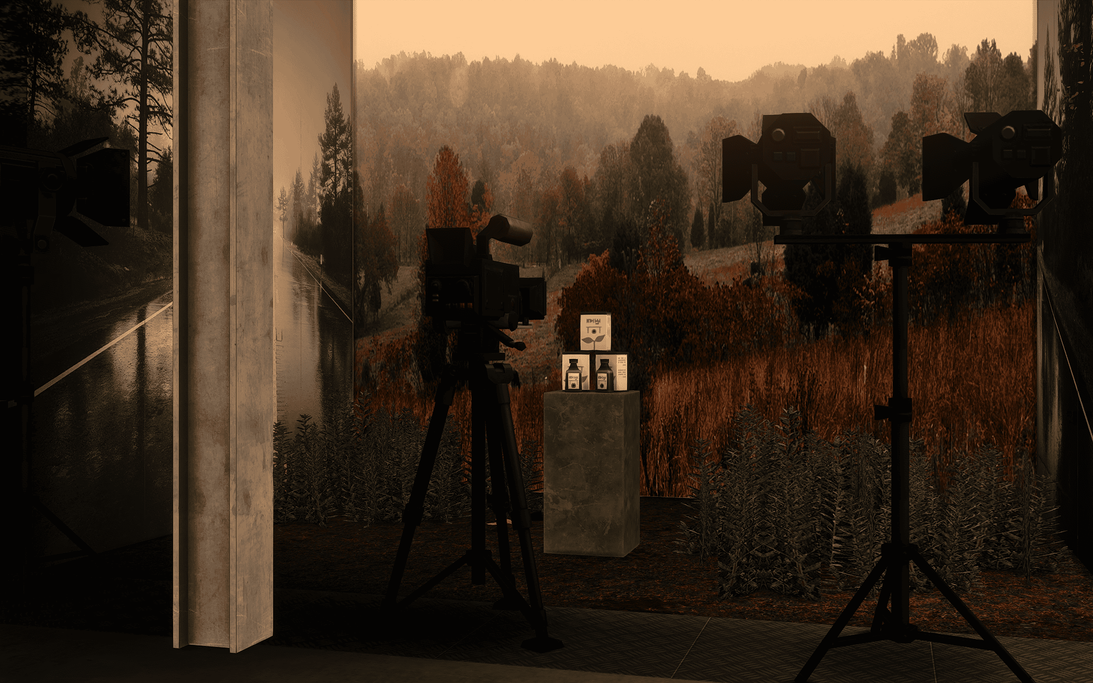 magnifique Film Stuido (16).png