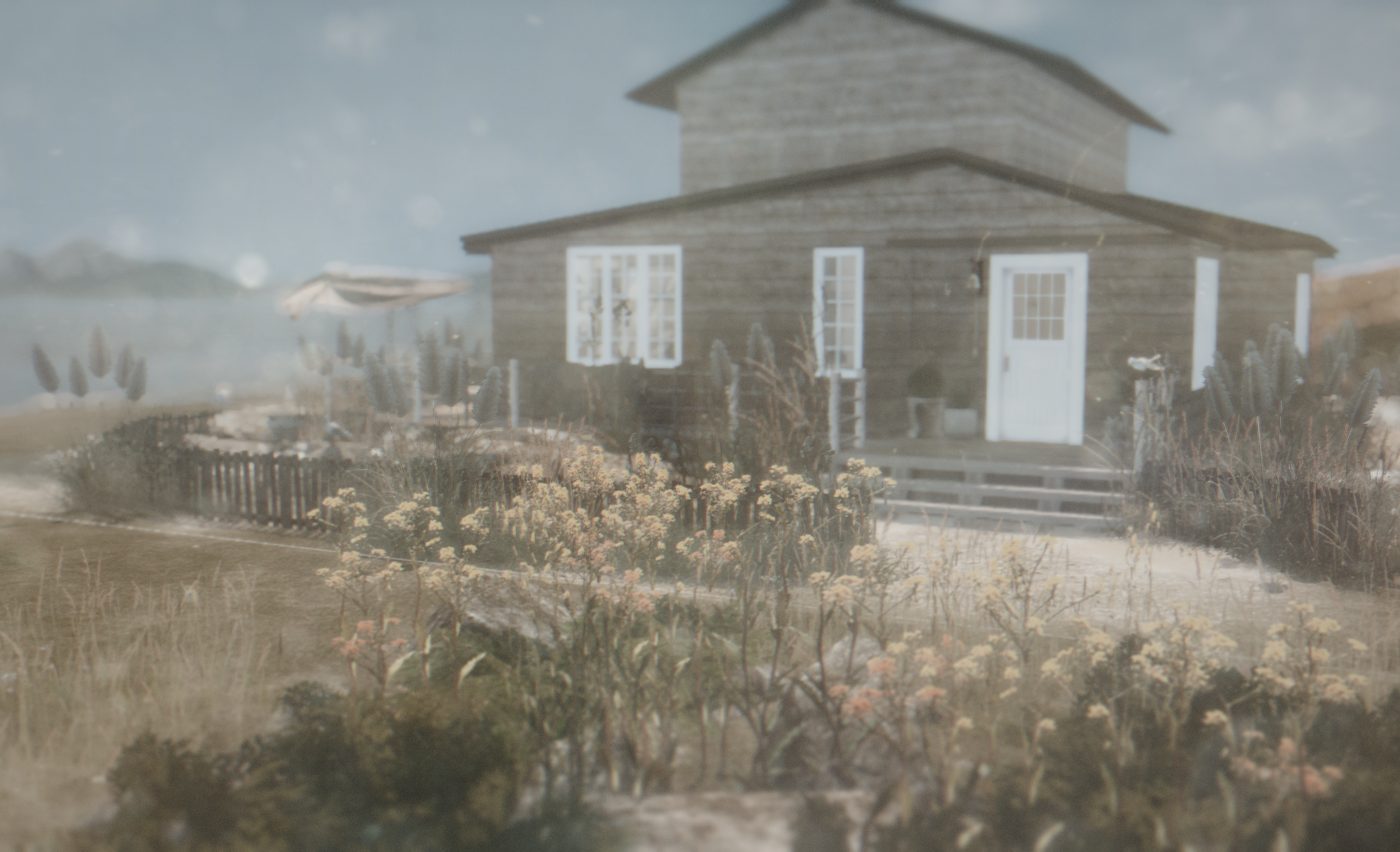 cold beach (2).png