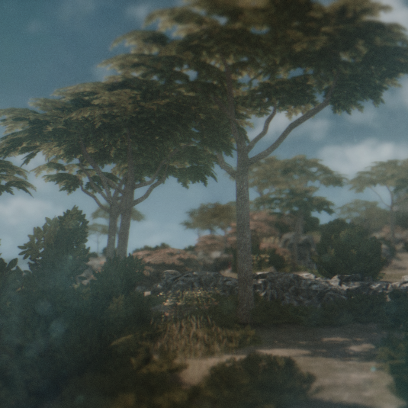 cold beach (3).png