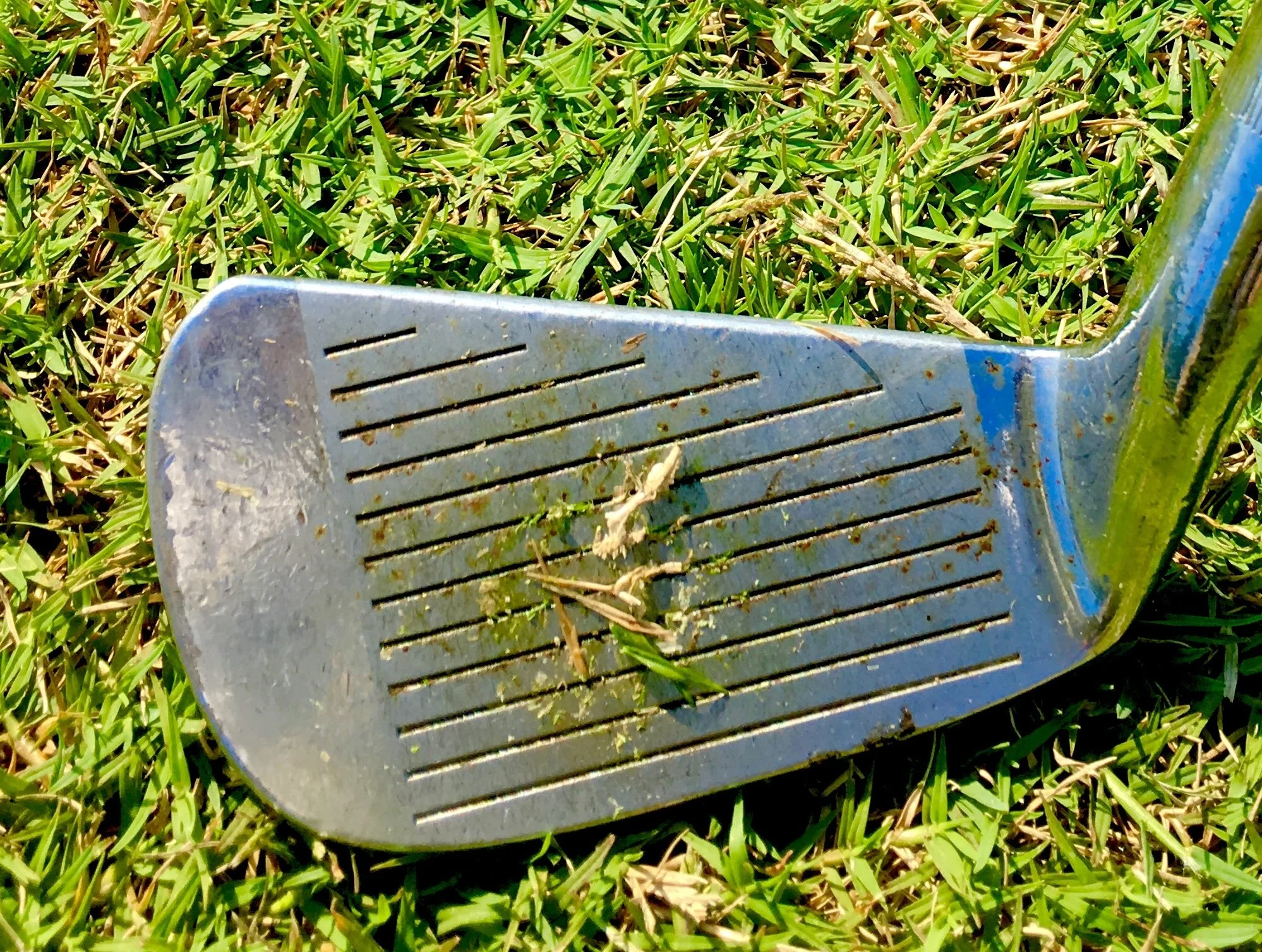 Legends of Moondog Golf