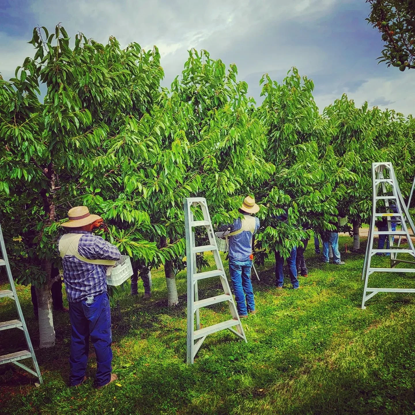 Work With Us — Honey Rock Landing