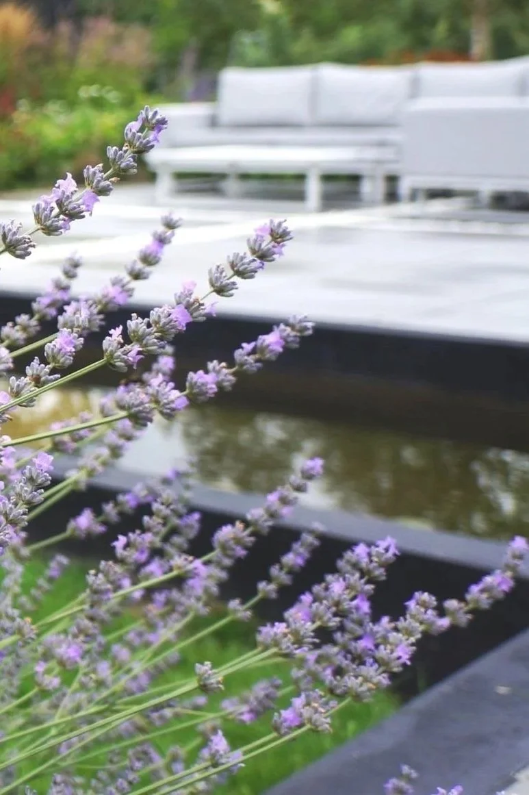 Landscape design in rural garden