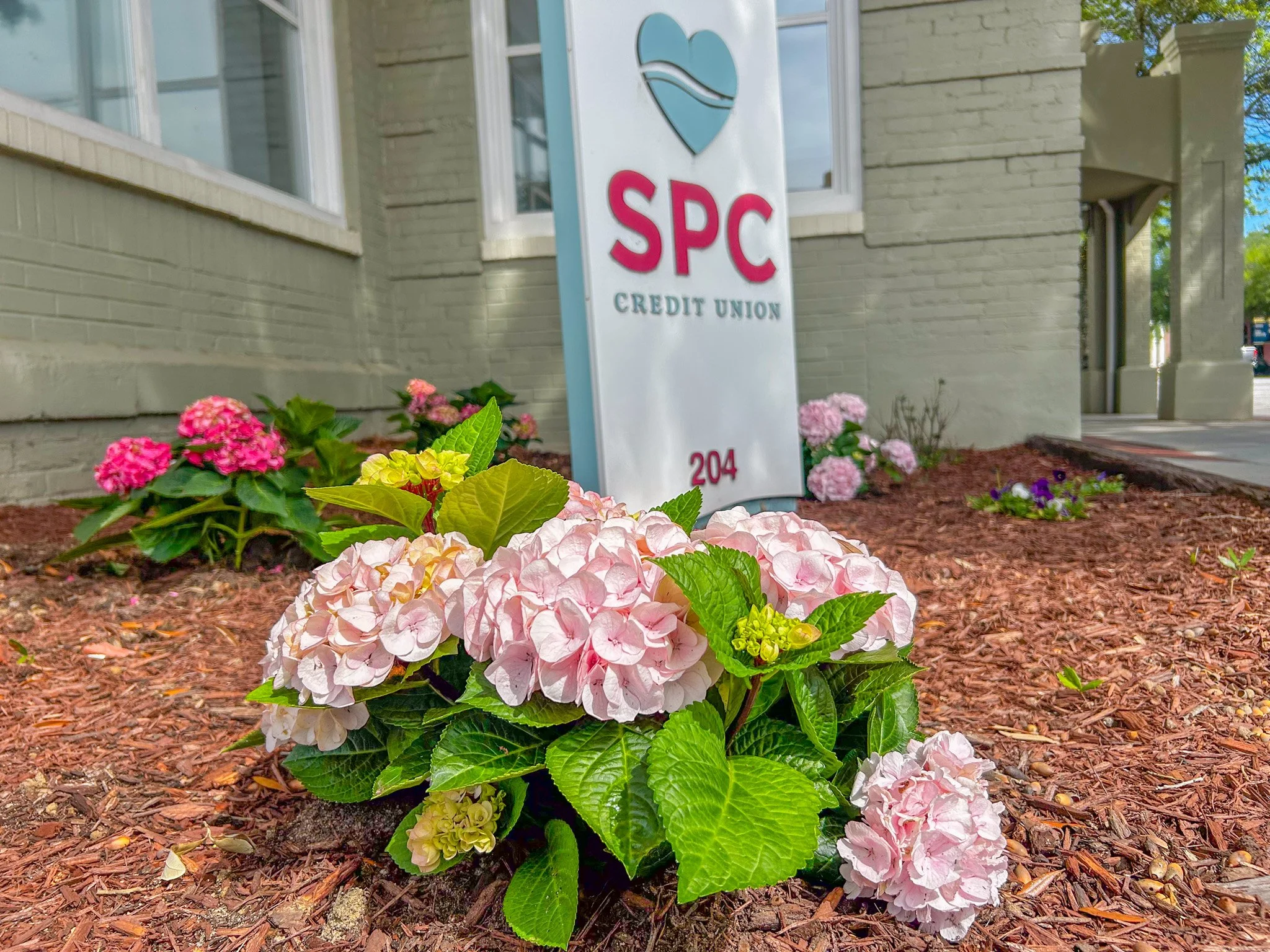 Our Hartsville branch is looking a little extra lively today! 🌸✨ A huge thank you to the Spring Beauty Garden Club for spending their time planting these beautiful flowers!