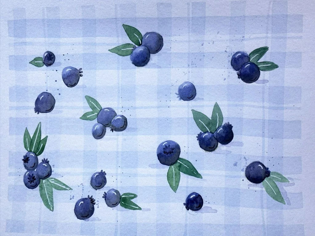 blueberry picnic.jpg
