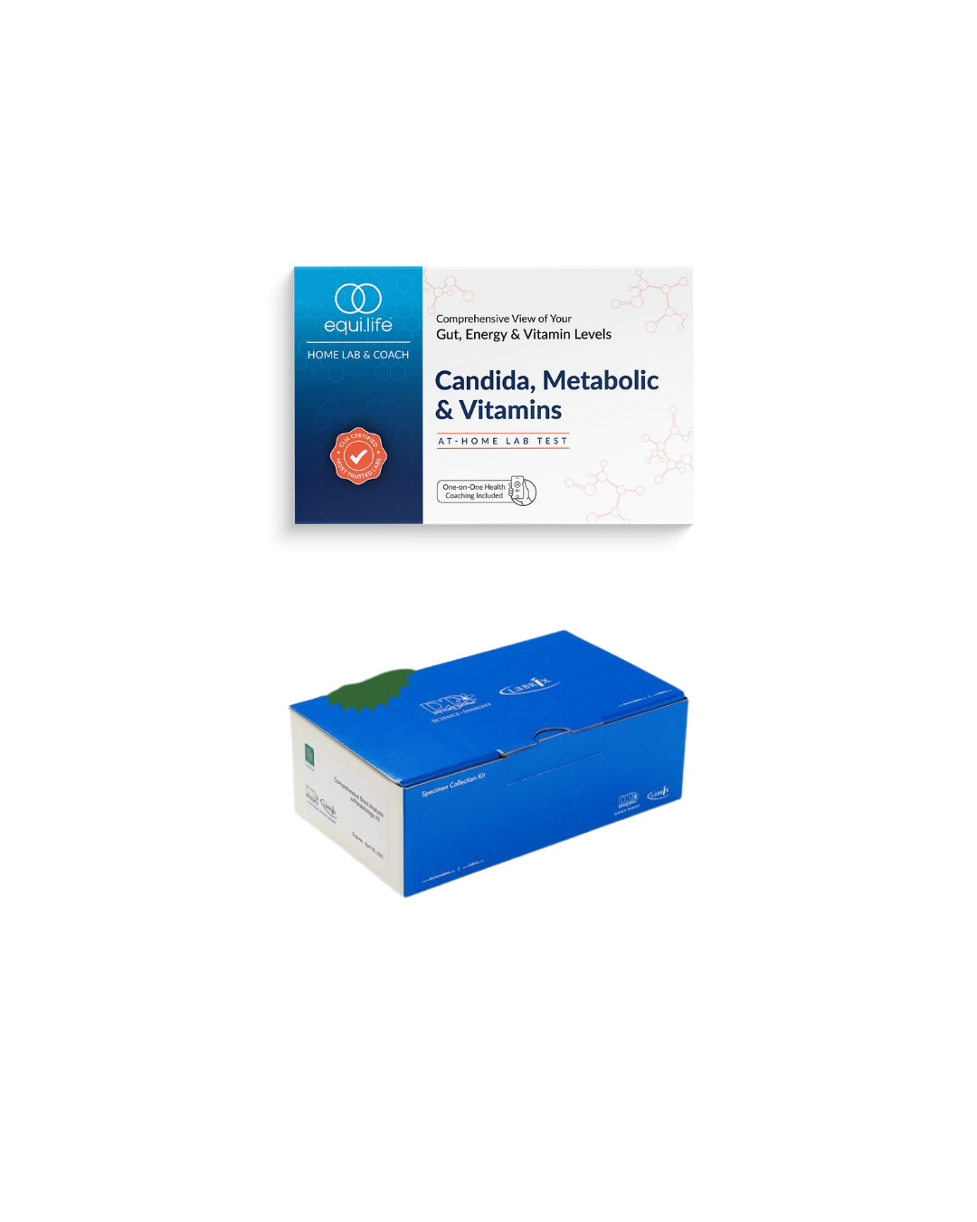 Digestive Health Mastery Lab Package