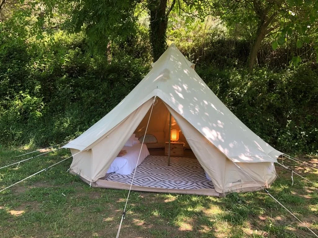 1761151701506000_848079223 (1).jpeg