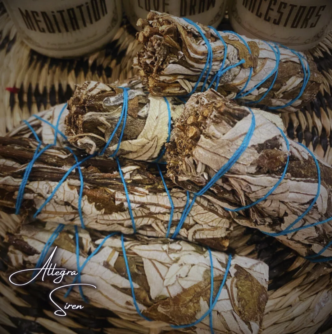 2DDD79E0-7ACF-4D19-AC10-109809FB8A0E