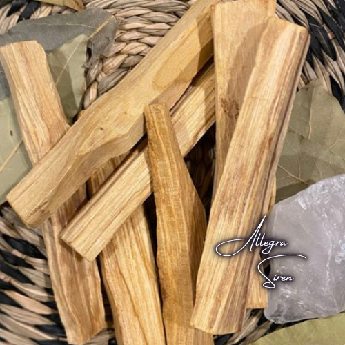 Copy of crescent moon logo.png