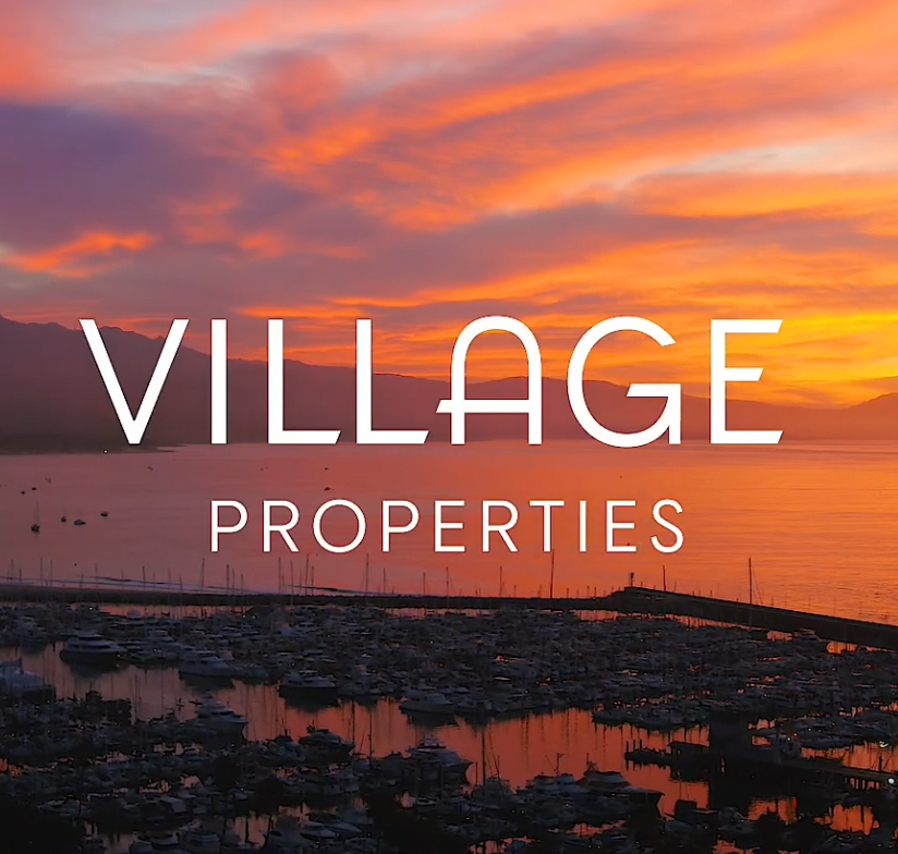 Screen Shot 2023-08-21 at 2.49.28 PM.png