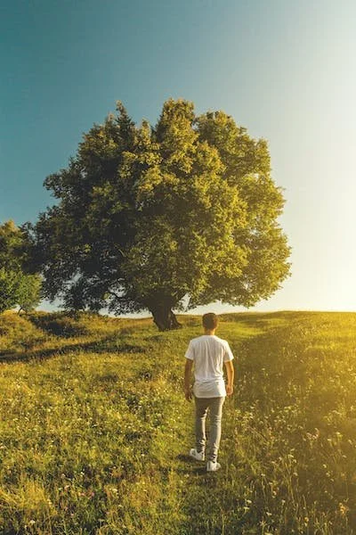 man walking in fresh green field