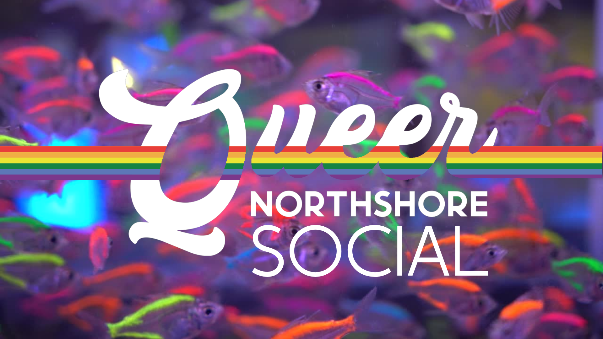 Queer Northshore Social  - Covington Beer Garden