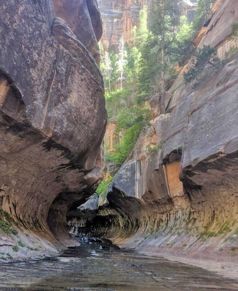 The Subway Bottom-Up Hike Zion National Park