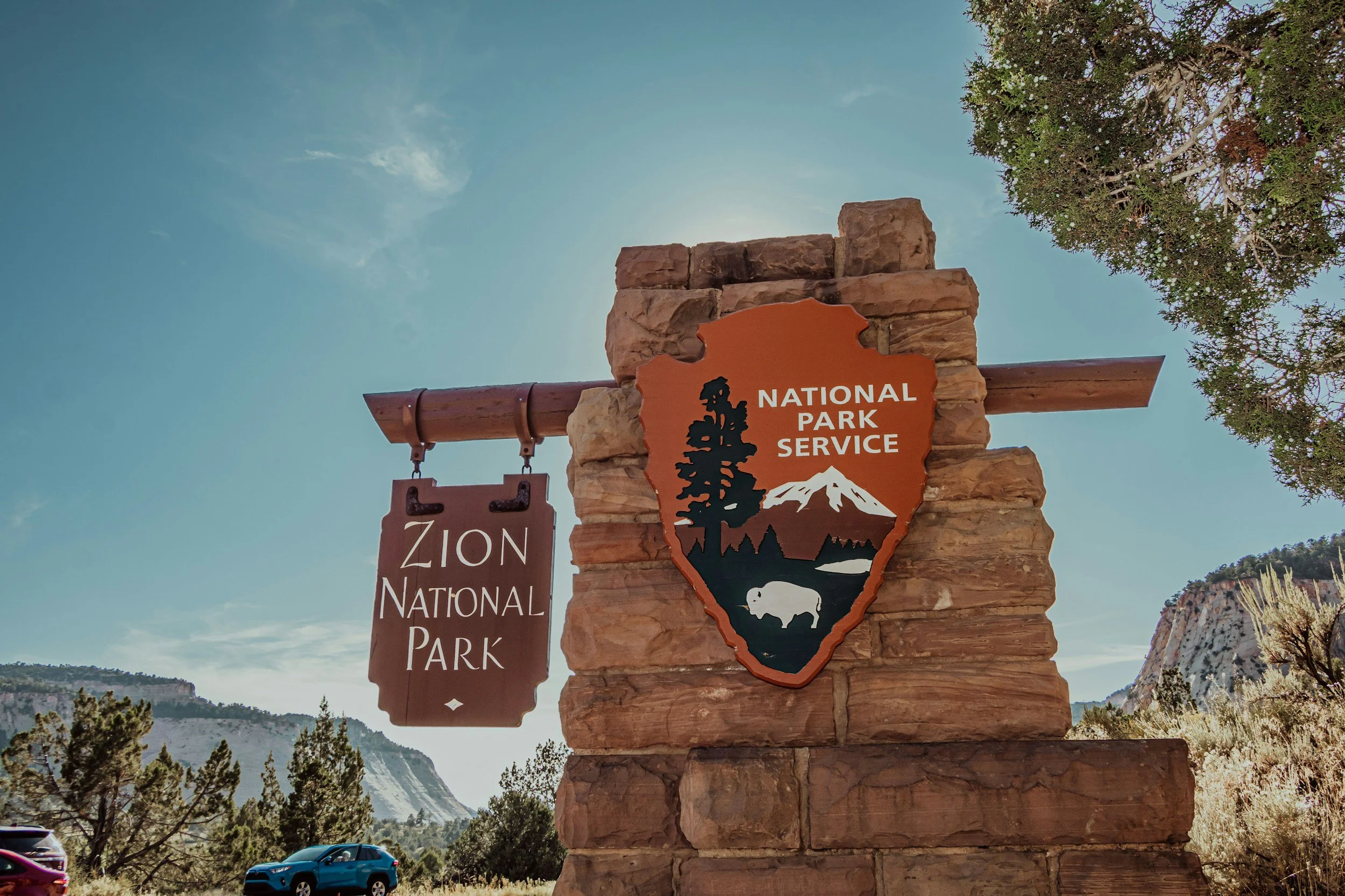 Sign at Zion National Park featuring the Zion National Park emblem with a tree, mountain, and buffalo, and a smaller sign reading 'Zion National Park' hung on a wooden post against a backdrop of trees, mountains, and a clear sky.