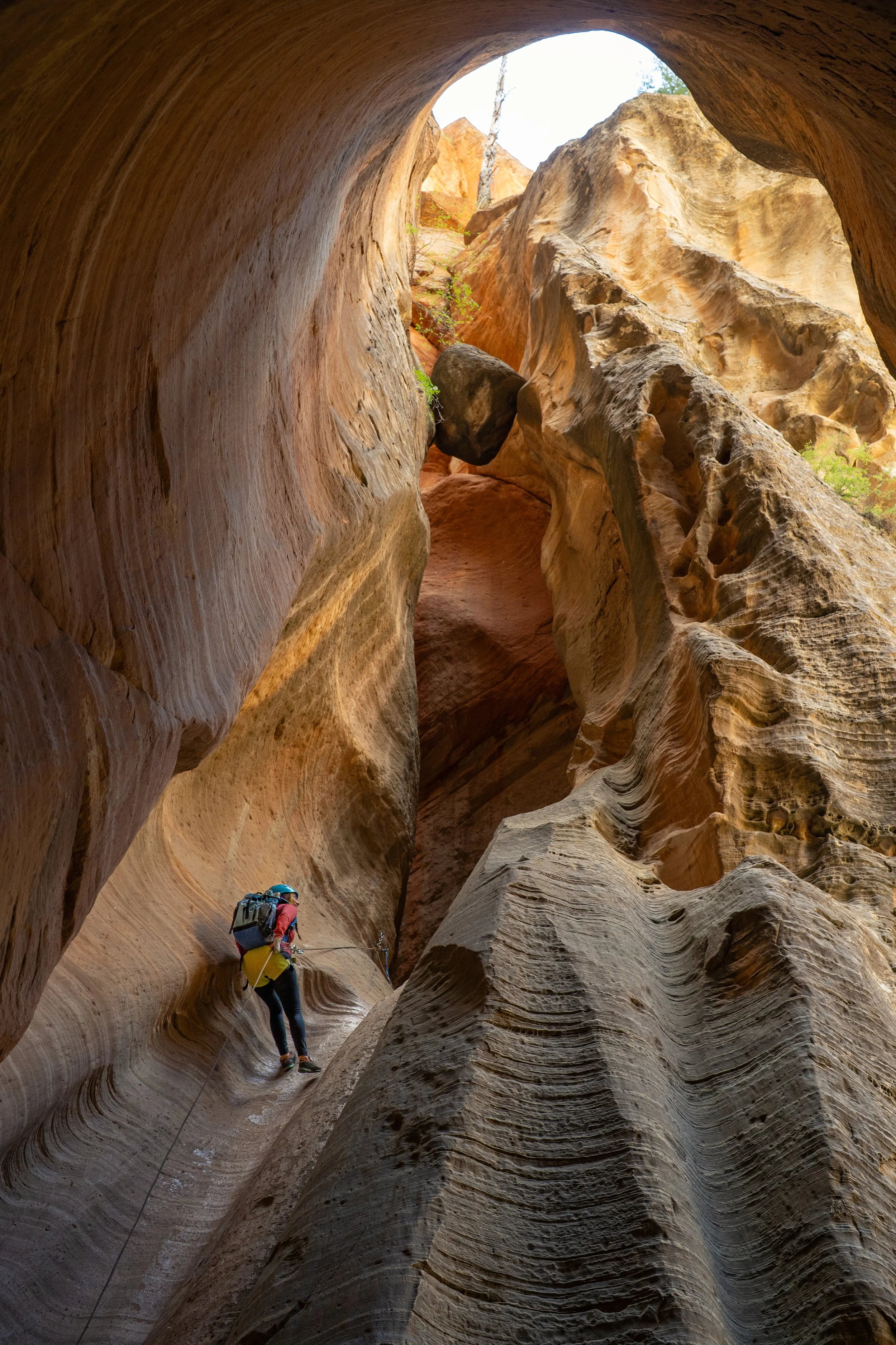 69_Birch Canyonl_Zion Guru_Citizen North.jpg