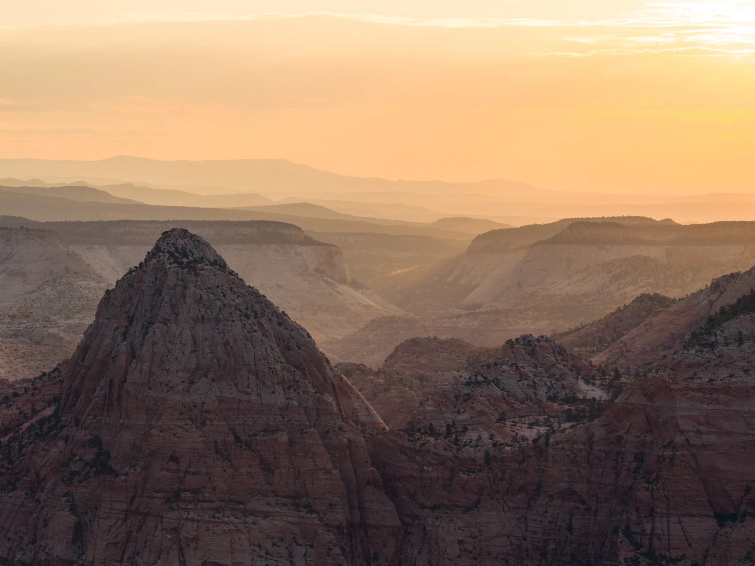 Best Times of Year to Hike the Zion Narrows