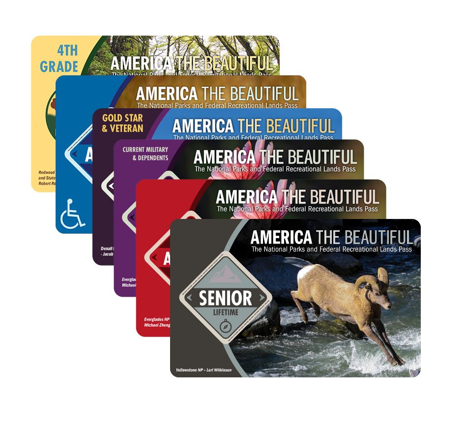 Collection of national parks and federal recreational lands pass cards including senior, disabled, military, veteran, and fourth grade passes.