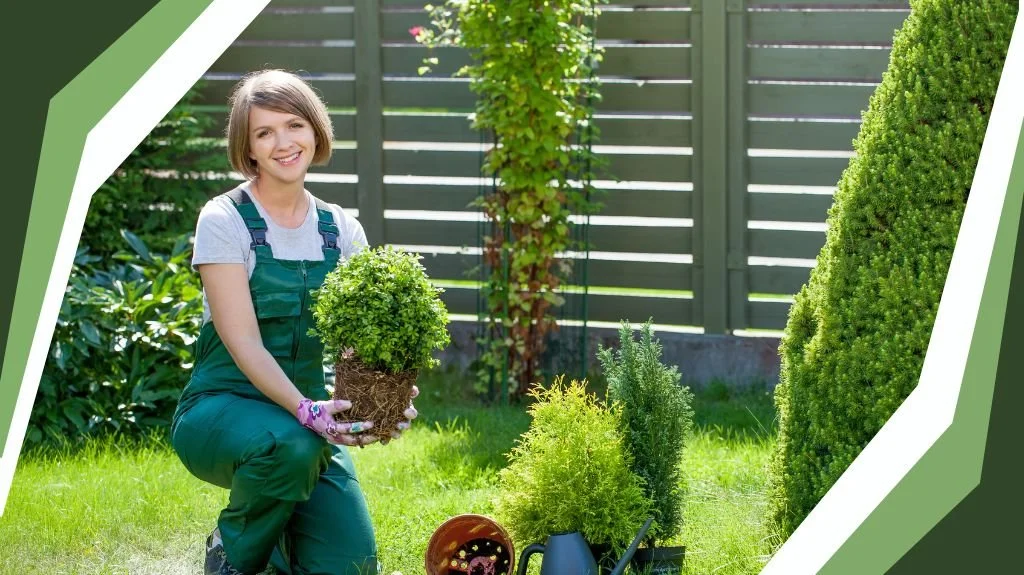 Planning a New Garden in Niagara: A Step-by-Step Plant Selection Blueprint